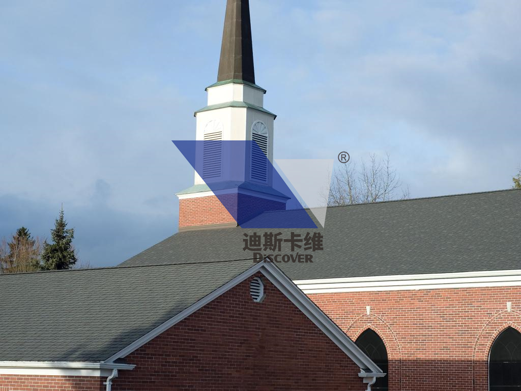 迪斯卡维03.jpg